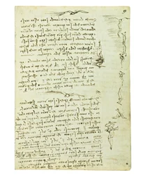 Codex sur le vol des oiseaux, Folio 9 recto
